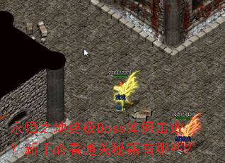 永恒之地终极Boss如何击败?新手必看通关秘籍有哪些? 永恒之地终极Boss如何击败?新手必看通关秘籍有哪些?