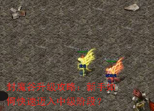 封魔谷升级攻略:新手如何快速迈入中级阶段? 封魔谷升级攻略:新手如何快速迈入中级阶段?