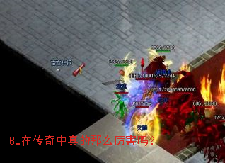 8L�ڴ����������ô������