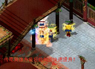 ����Ӣ������������ο���������