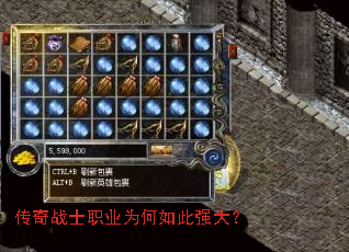 ����սʿְҵΪ�����ǿ��