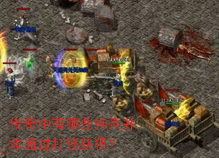 ����������Щ�������ͨ����ֻ�ã�