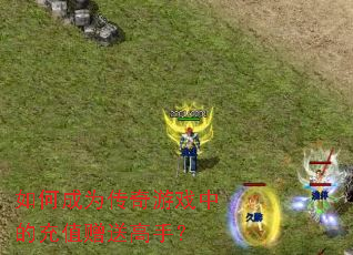 ��γ�Ϊ������Ϸ�еĳ�ֵ���͸��֣�