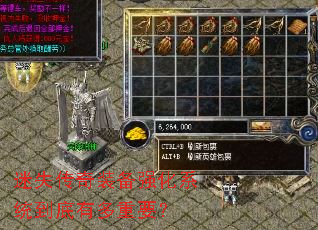 ��ʧ����װ��ǿ��ϵͳ�����ж���Ҫ��