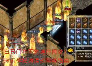 ���������½�ͨ���δ���̽������ͨ���Ĺ���ָ��