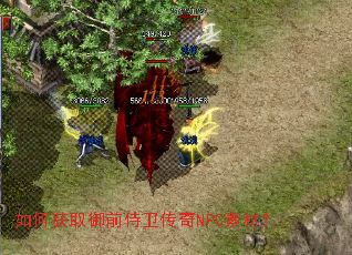 ��λ�ȡ��ǰ��������NPC�زģ�