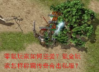 零氪玩家如何逆袭?氪金玩家怎样称霸传奇合击私服? 零氪玩家如何逆袭?氪金玩家怎样称霸传奇合击私服?