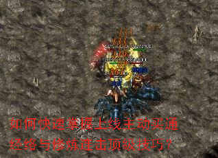 ��ο�����������������ͨ���������������������ɣ�