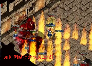 ��ε����л��Ա���ޣ�