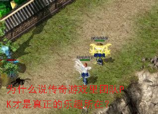 Ϊʲô˵������Ϸ���Ŷ�PK������������Ȥ���ڣ�