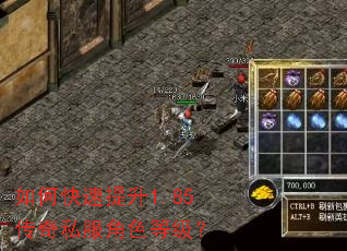 如何快速提升1.85传奇私服角色等级? 如何快速提升1.85传奇私服角色等级?