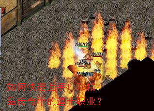 ��ο�������1.76��Ʒ�����еĵ�ʿְҵ��