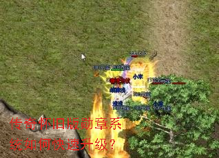 ���滳�ɰ�ѫ��ϵͳ��ο���������