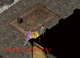 ���޵���BOSS��Ŀ�����