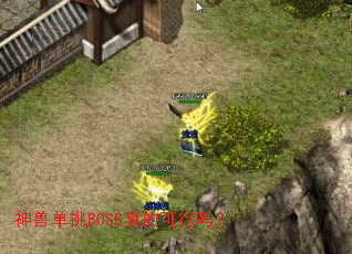 ���޵���BOSS��Ŀ�����