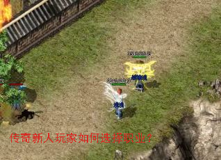 ��������������ѡ��ְҵ��