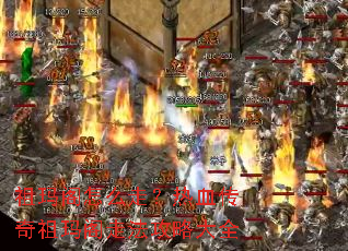 �������ô�ߣ���Ѫ����������߷����Դ�ȫ