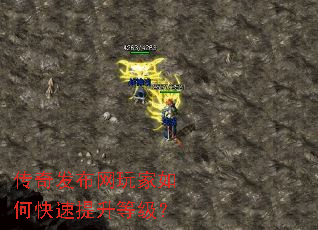 ���淢���������ο��������ȼ���