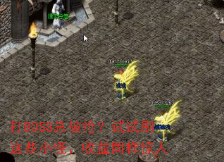 ��BOSS�ܱ���������ˢ��ЩС�֣�����ͬ������