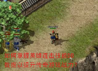 �������Ӣ����������DB����������������Ϸս����