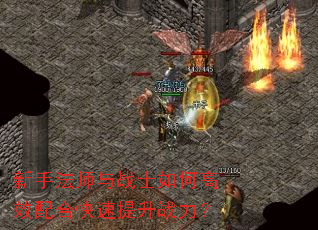 ���ַ�ʦ��սʿ��θ�Ч��Ͽ�������ս����