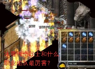 ��ѩ����սʿ��ʲôְҵ�����������