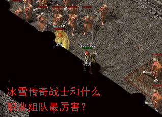 ��ѩ����սʿ��ʲôְҵ�����������