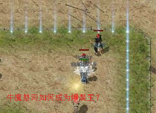 ţħ��˾��γ�Ϊ��װ����