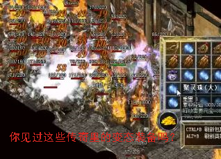 �������Щ������ı�̬װ����