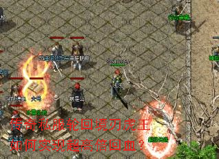 ����˽���ֻؾ��л������ʵ�ֳ��߱���Ѫ��