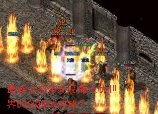 ���±�̬����˽���ߴ�����BOSS��ս���ԣ�