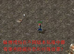 ��Խ�ָ�ڲ�ͬ�汾˽���ж�����Щ������̬������Ч����