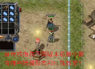 ��Խ�ָ�ڲ�ͬ�汾˽���ж�����Щ������̬������Ч����