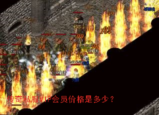 ����˽��VIP��Ա�۸��Ƕ��٣�