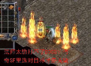 ��ʦ̫�����BOSS������SF��ѡ��Ŀ����ǹؼ�