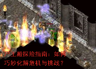 ʬ����̽��ָ�ϣ���������Σ������ս��