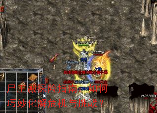 ʬ����̽��ָ�ϣ���������Σ������ս��