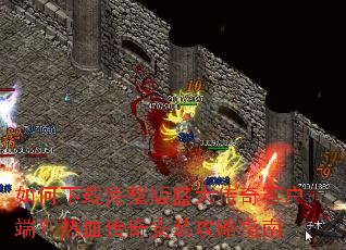 �������������ʢ����ͻ��ˣ���Ѫ���氲װ����ָ��