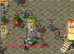 ������Ϸ��ο��������ȼ���