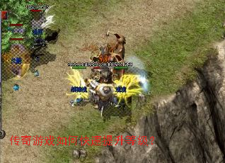 ������Ϸ��ο��������ȼ���