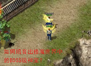 �����������ħ�����е�BOSS����裿