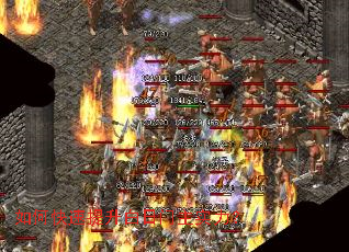 ��ο���������������ʵ����