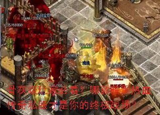 �ǻҼ���ұؿ����Ŀ����Ѫ����˽����������ռ�ս����