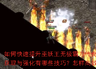 ��ο��������������޼��Ե�����˽����ɫ�ȼ���װ����ȡ��ǿ������Щ���ɣ�������Ч���ܸ���BOSS��