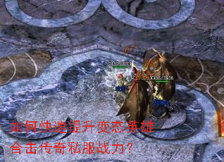 ��ο���������̬Ӣ�ۺϻ�����˽��ս����