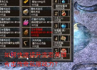 ��ο���������̬Ӣ�ۺϻ�����˽��ս����