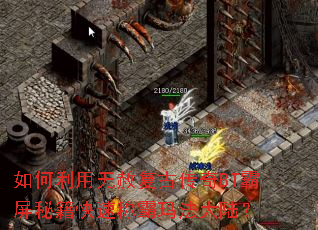 ����������⸴�Ŵ���BT�����ؼ����ٳư��귨��½��