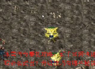 ��ѩ��������ԣ�������ο��ٻ�ȡ�ر�������������������Щ�ؾ���