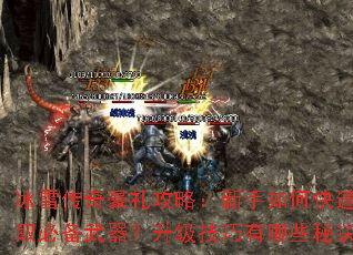 ��ѩ��������ԣ�������ο��ٻ�ȡ�ر�������������������Щ�ؾ���