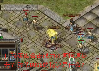 1.76Ӣ�ۺϻ�ս����ο�����������ɱBOSS���ؾ���ʲô��